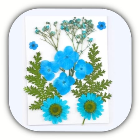 ورود مجففة - كيس صغير