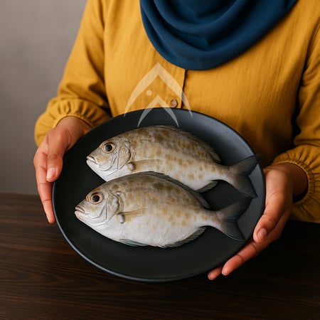 صافي نصف كيلو safi 1/2