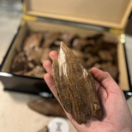 عود موروكي آصقون قديم تربل سوبر