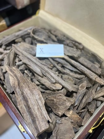 عود فلبيني تربل سوبر