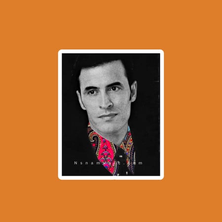 ستيكر كاظم الساهر 9