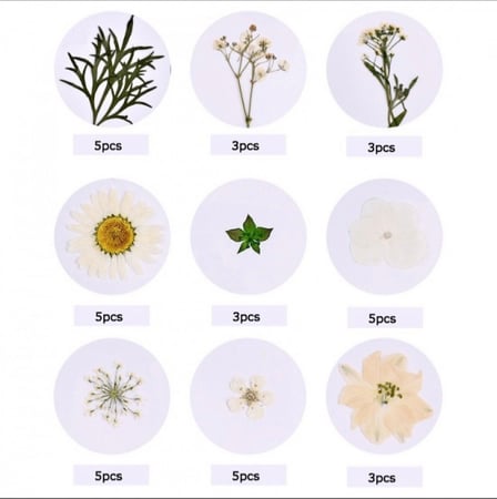 ورد مجفف متوفر عده الوان