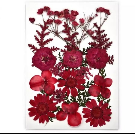 ورد مجفف متوفر عده الوان