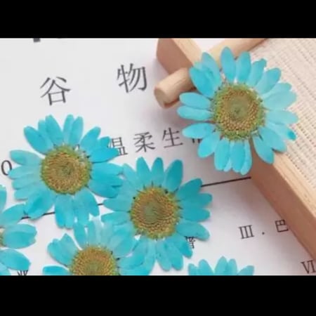 ورد مجفف ازرق