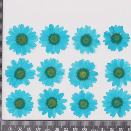 ورد مجفف ازرق