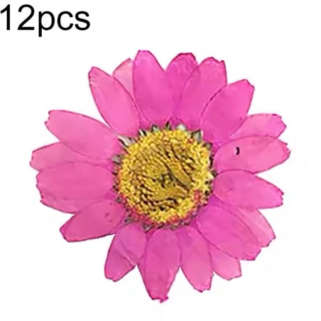 ورد مجفف فوشي