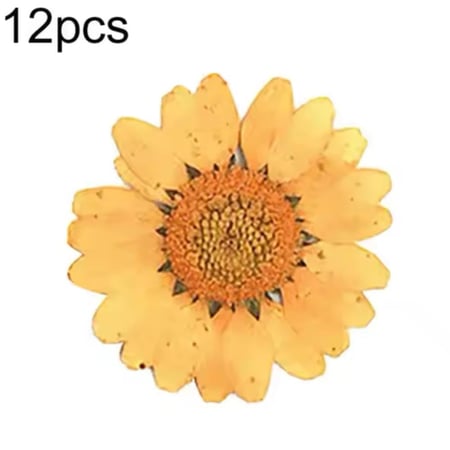 ورد مجفف برتقالي