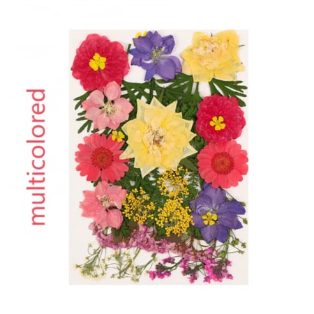 ورد مجفف ملون