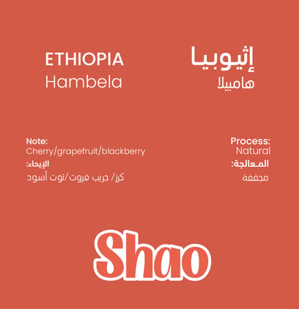 محمصة شاو -إثيوبيا هامبيلا 250G