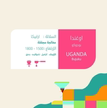 محمصة إلتون - بوجوكو اوغندا 250G