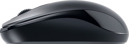 فأرة سلك جينيس اسود