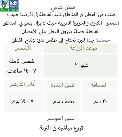 بذور قطن شامي - Coton Levant Seeds