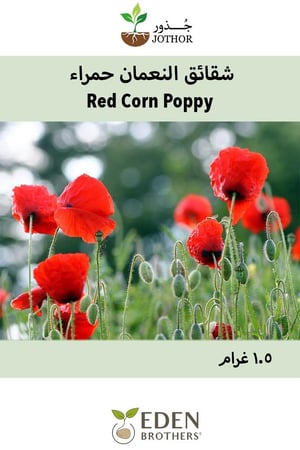 بذور شقائق النعمان حمراء - Red Corn Poppy Seeds