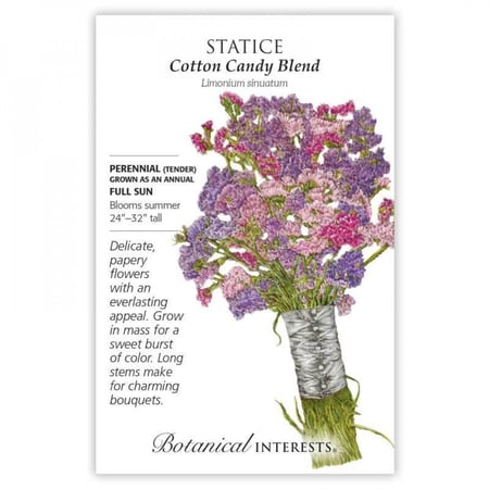 بذور ستايتس - Statice Cotton Candy Blend Seeds