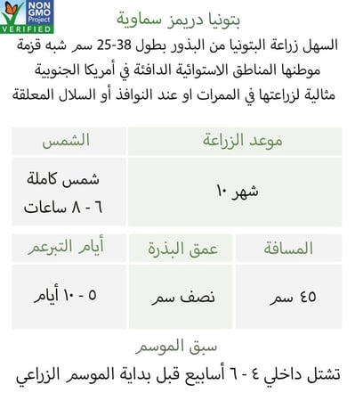 بذور بتونيا دريمز سماوية - Dreams Series Sky Blue Petunia Seeds