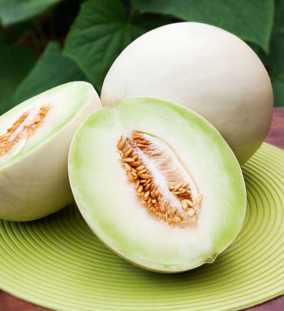 بذور شمام حلو - Sweet Delight Honeydew Melon Seeds