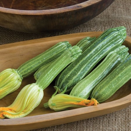 بذور كوسا كوستاتا رومانسكو الإيطالية - Costata Romanesco Zucchini Squash Seed