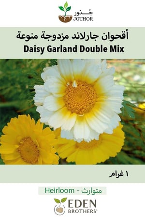 بذور اقحوان جارلاند مزدوجة منوعة - Garland Daisy Seeds