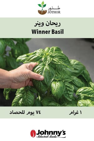 بذور ريحان وينر - Winner Basil Seed
