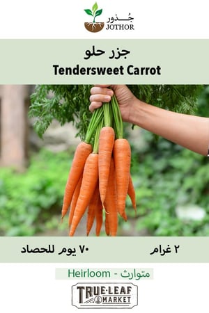 بذور جزر حلو -  Tendersweet Carrot Seeds