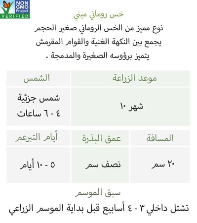 بذور خس روماني ميني - Romaine - Little Gem Lettuce Seeds