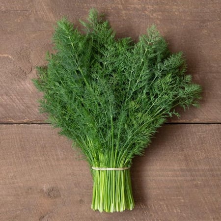 بذور شبنت ديلايت - Dill Delight Seeds