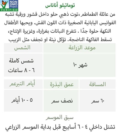 بذور توماتيلو الأناناس - Tomatillo Seeds - Pineapple