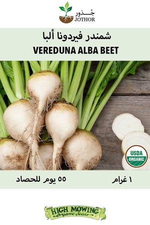 بذور شمندر فيردونا ألبا - Vereduna Alba Beet Seeds
