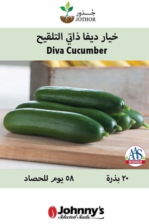 بذور خيار ديفا ذاتي التلقيح - Diva Cucumber Seeds