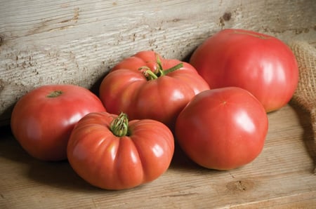 بذور طماطم جونسون الألماني - German Johnson Organic Tomato Seed