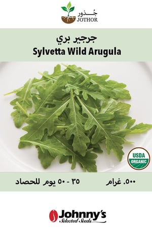 بذور جرجير بري سيليفتا عضوي - Sylvetta Wild Arugula Seeds