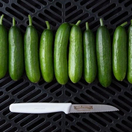 بذور خيار ميني مي ذاتي التلقيح - Minime Cucumber Seeds