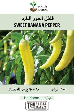 بذور فلفل الموز البارد - Pepper Sweet Banana Seeds