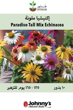 بذور اكنيشيا ملونة - Paradiso Tall Mix Echinacea Seed