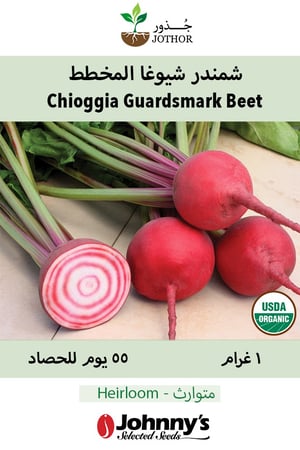 بذور شمندر شيوغا المخطط عضوي - Chioggia Guardsmark Organic Beet Seeds