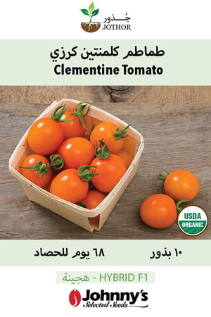 بذور طماطم كلمنتين عضوي - Clementine Organic (F1) Tomato Seeds