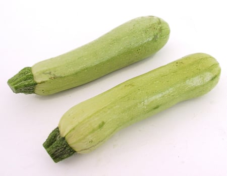 بذور كوسا مارو ذاتية التلقيح - Marrow Segev Squash Seeds