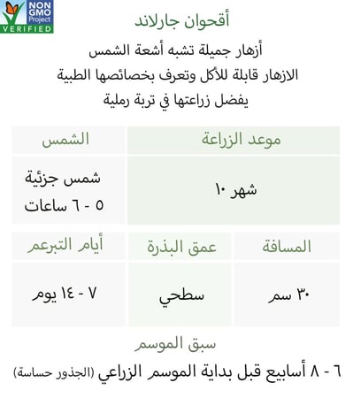 بذور اقحوان جارلاند مزدوجة منوعة - Garland Daisy Seeds