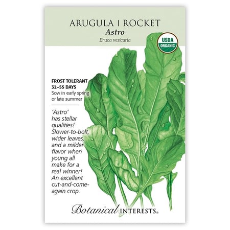 بذور جرجير أسترو - Arugula, Astro Arugula/Rocket Seeds