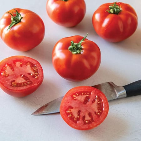 بذور طماطم سيلبرتي بلاس مقاوم للأمراض - Celebrity Plus (F1) Tomato Seed