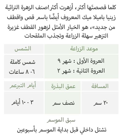 بذور زينيا باميلا الملونة - Zinnia Seeds - Pumila / Cut & Come Again Mix