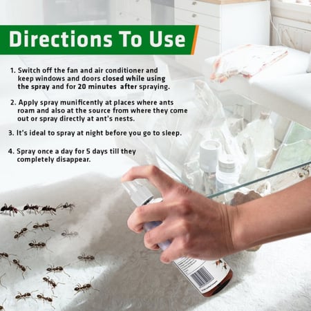 طارد النمل طبيعي من زيوت عشبية - Herbal Strategi Just Out Herbal Ant Repellent