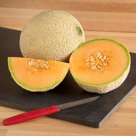 بذور شمام مكعب السكر مقاوم للأمراض - Sugar Cube (F1) Melon Seed
