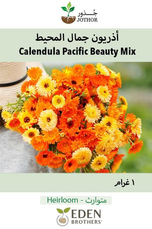 أذريون جمال المحيط - Calendula Pacific Beauty Mix Seeds