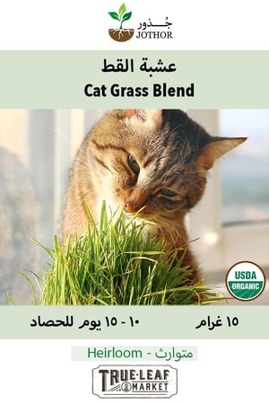 بذور عشبة القط المنوعة - Cat Grass Blend Seeds