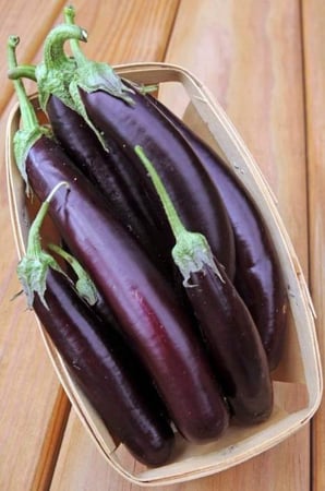 بذور باذنجان بنفسجي طويل - Long Purple Eggplant Seeds