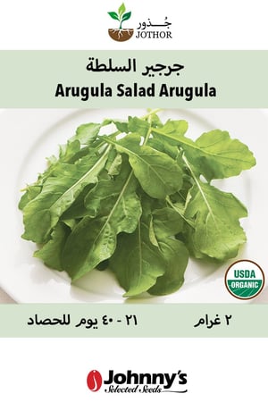 بذور جرجير السلطة عضوي - Organic Salad Arugula Seeds