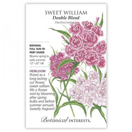 بذور قرنفل سويت ويليام - Sweet William Double Blend Seeds