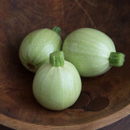 بذور كوسا مدورة فاتحة - Cue Ball Squash Seeds