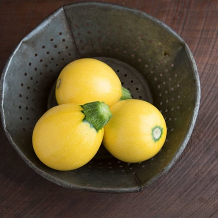 بذور كوسا مدورة صفراء - One Ball Squash Seeds